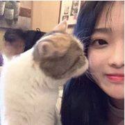 QQ咩咩好喝到咩噗茶