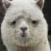 胖、子（方沉舟）