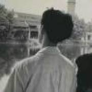 长情