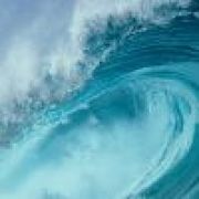 雨『枫』〜落木