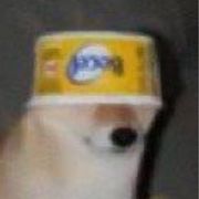 手机用户17184093