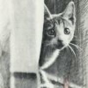 愉悦愉悦愉悦愉悦偷税愉悦