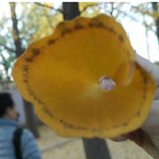 手机用户43199570