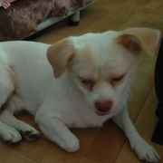 我的世界我做主