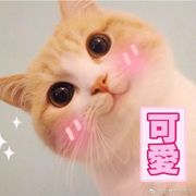 顾家少爷姓叶（咸鱼）