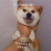 活捉一只喵星人