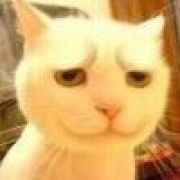 其实我是瓜子脸