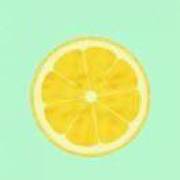 柠檬和绿茶的崽子