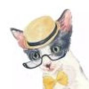 Ω 空巷里的猫街少女 ζ