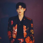 不加糖的八角亭