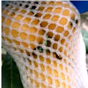 乜許メ該結束了