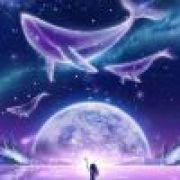 躺平生活日记