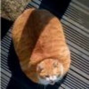 就连说话都会颤抖