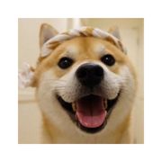 当你抬头看见天空刚好下着雨