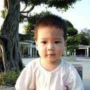 不如自挂东南枝吧