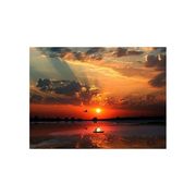 慕斯小吴（已退坛）