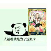 命运伊莉雅指定