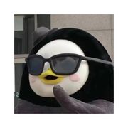 一鲦鱼亿丶丶咸