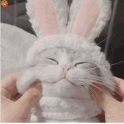 爱吃饭的无敌饭