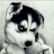 ♥微尘挽歌℡☆