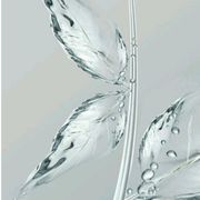 叶·祭♚