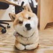子洋