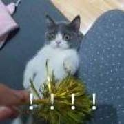 你算哪块小饼干🍪