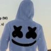 官方认证小可爱