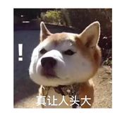 艺术就是派大星