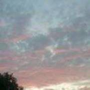 得意淡然  失意泰然