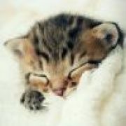 恒梦 星耀 光辉