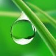 星猫解说:穿越火线