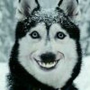 灵感菇和灵感菇