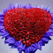 鸡年开怀大叫咯咯咯