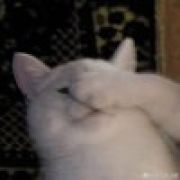 ʕ̡̢̡ʘ̅͟͜͡ʘ̲̅ʔ̢̡