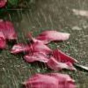 那抹、綠，好美ㄟ