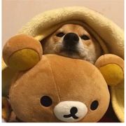 这辈子还想做欧皇