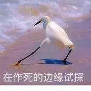 咸鱼一只