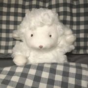 我的头像是小羊