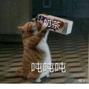 老猫丶