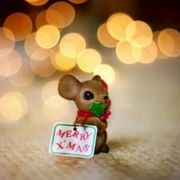 青山绿水小蓝天