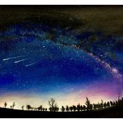 蛮蛮₍•ʚ•₎