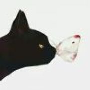 海上月是天上月