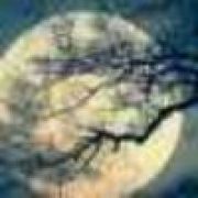 ั͡ ั͡竹 ั͡林 ั͡贤