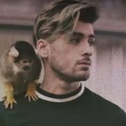 Zayn