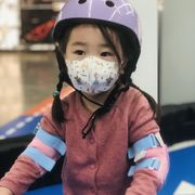 蓝灵之狼