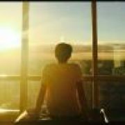 梦里有枝洋桔梗