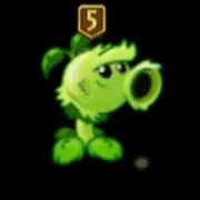 爱玩PVZ的宁同学