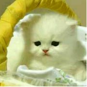 我妈说名字不能超过十五个字