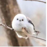 奶瓶被你打翻了